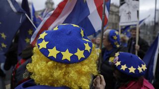 Manifestantes se manifiestan contra la separación de Reino Unido del Bloque, 8 de enero de 2020