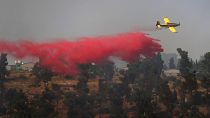 Vier Tote bei Waldbrand auf Zypern, elf Löschflugzeuge im Einsatz