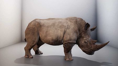 "You and AI" exhibition