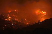 Güney Kıbrıs’taki orman yangınında 4 kişi hayatını kaybetti