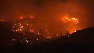 Güney Kıbrıs’taki orman yangınında 4 kişi hayatını kaybetti