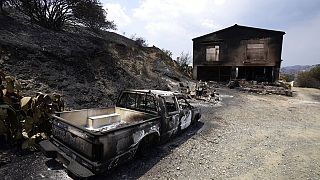 Ανυπολόγιστες ζημιές από την πυρκαγιά στην Κύπρο