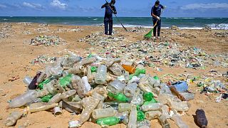 Single-use plastic found on European beaches