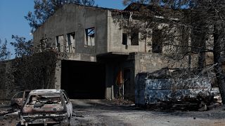 Οδοιπορικό στις πληγείσες περιοχές της ορεινής Λάρνακας και Λεμεσού από την πυρκαγιά