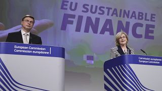 Valdis Dombrovskis and Mairead McGuinness unveiled the plans to green the EU's bond market.