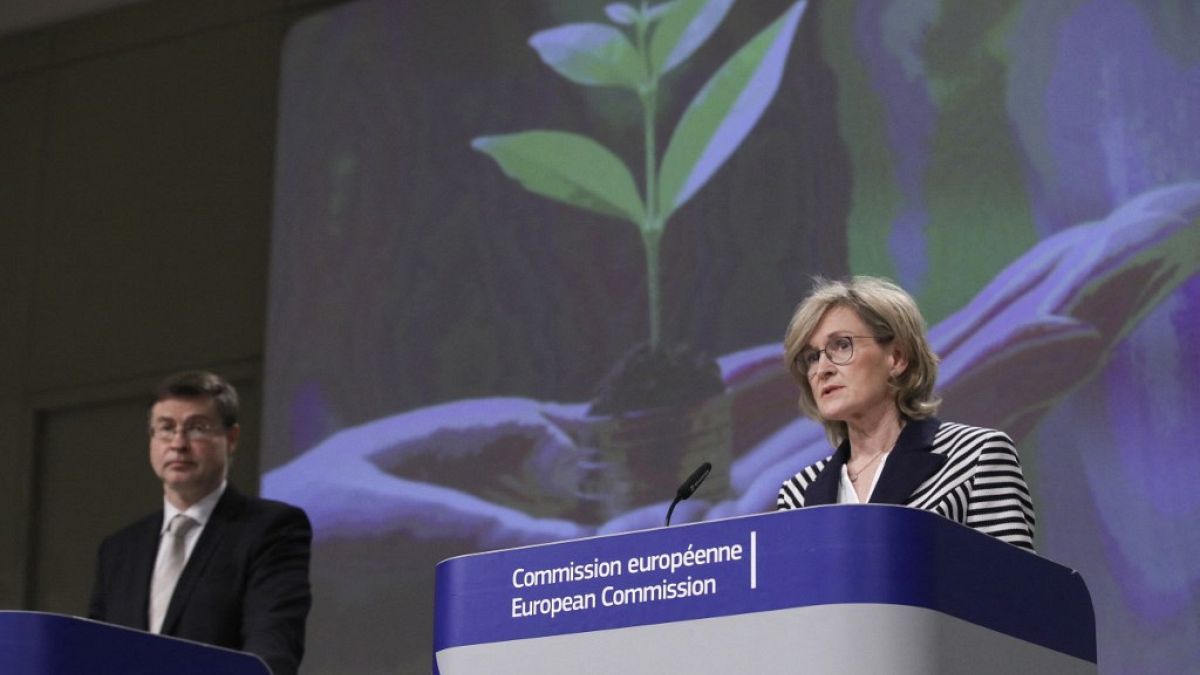 المفوضية الأوروبية تكشف عن خطتها الرامية إلى جعل القطاع المالي أكثر ملاءمة للمناخ