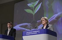 Brüssel will Nachhaltigkeit mit grünen Anleihen fördern