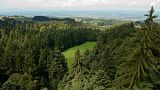 A study suggests planting more trees in Europe could increase rainfall, which could help slow down the pace of climate change.