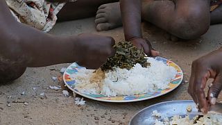 WFP warns displaced Mozambicans risk facing food crisis, calls for help