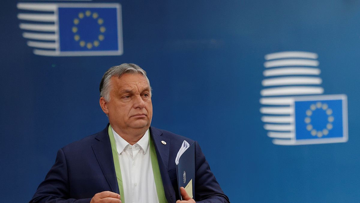 The anti-LGBT law was proposed by Hungary's prime minister Viktor Orban