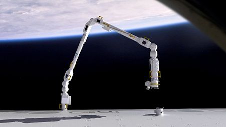 An animation of the ESA robotic arm transporting payloads outside the ISS.