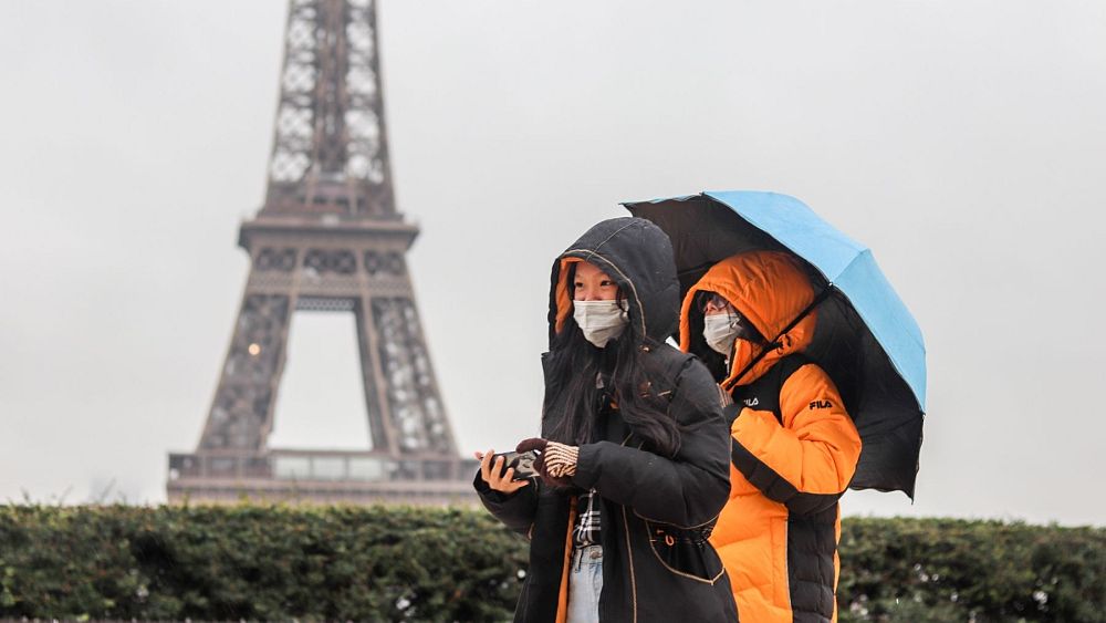 Euronews audience on their travel options for this year