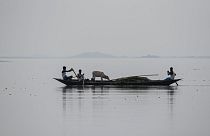 A boat carrying men and a cow in the river Brahmaputra in Morigaon district of Assam, India, Saturday, Aug. 1, 2020.