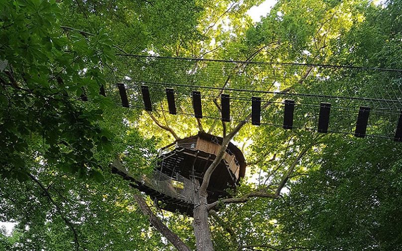 The 6 best treehouse hotels in Europe for a nature-filled getaway | Euronews