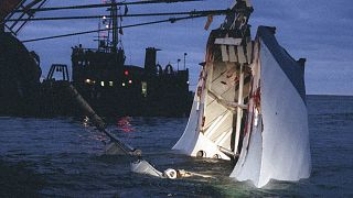 The front section of the passenger ferry MS Estonia is lifted from the sea at Uto in 1994.