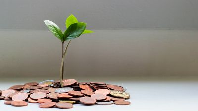 Choosing a green pension could be better for the planet than not flying, going vegetarian and using renewable energy combined. Choosing a green pension could be better for the planet than not flying, going vegetarian and using renewable energy combined.