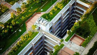 Basel is adding green space on the city's flat roofs.