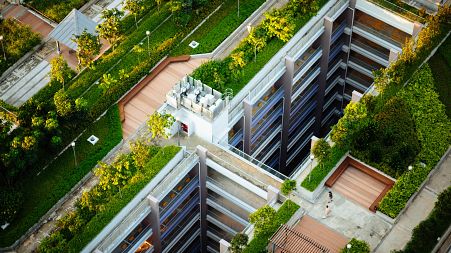 Basel is adding green space on the city's flat roofs.
