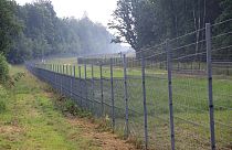 The Padvarionys border fence in Medininkai, separating Lithuania and Belarus.
