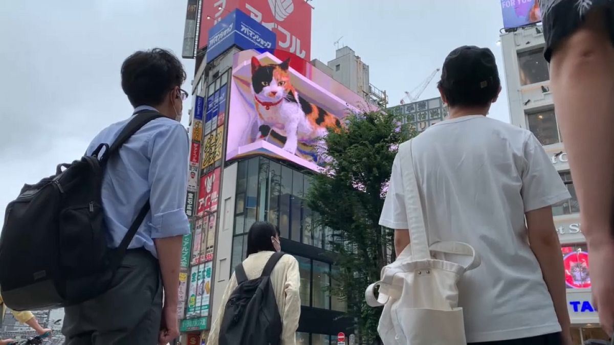 شاهد: مارة في طوكيو يقفون بذهول واعجاب لمشاهدة قطة ثلاثية الأبعاد على شاشة عملاقة