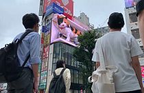ویدئو؛ گربه سه‌بعدی غول پیکر در خیابان‌های توکیو