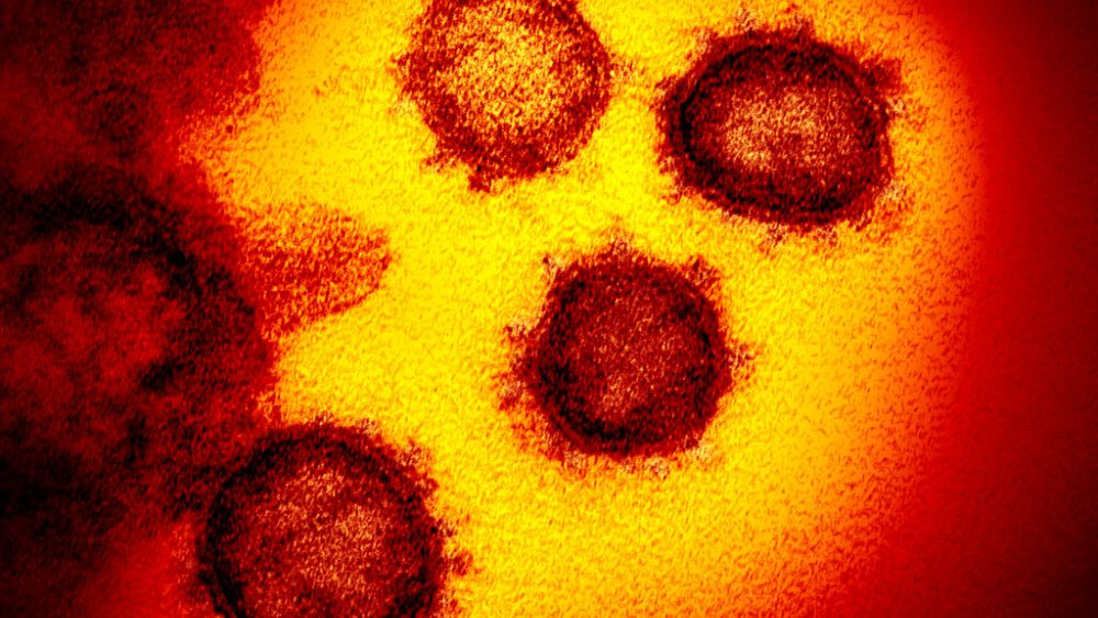 Bald doch ein Medikament? Uni Mainz testet Protein rNAPc2 gegen schwere Verläufe von Covid-19 - Vimarsana News