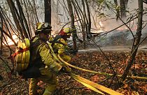 Des pompiers luttant pour éteindre un incendie de forêt le 12 octobre 2017, en Californie.