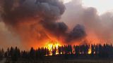 Μεγάλες πυρκαγιές σε Ρωσία, Ισπανία και Ηνωμένες Πολιτείες