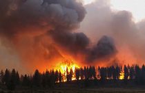 Wildfires rage in Russia, Spain and the US amid high temperatures