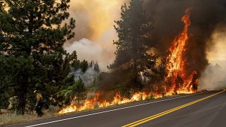 Lángol a növényzet a kaliforniai Plumas Nemzeti Erdőben július 9-én