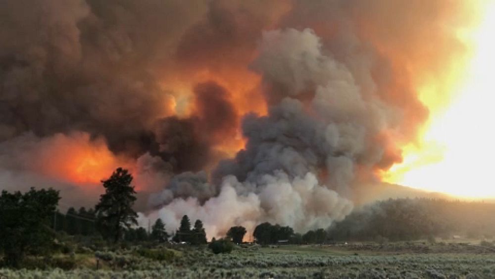Pic de chaleur et vague d'incendies aux Etats-Unis - Vimarsana News