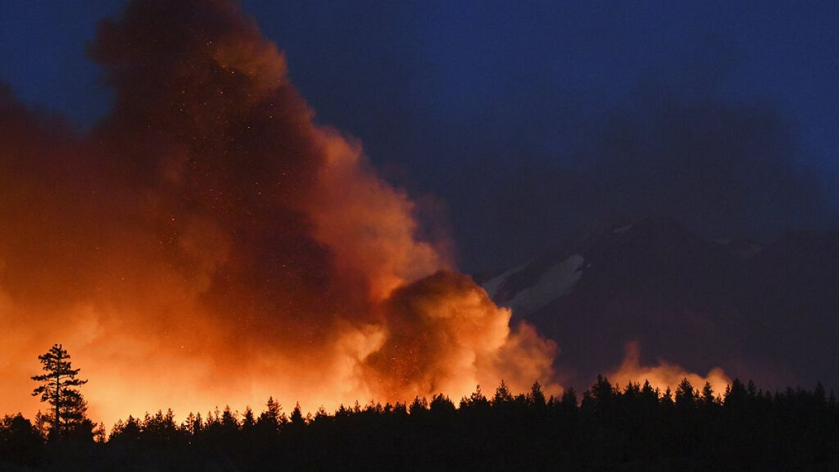 Лесные пожары в США.