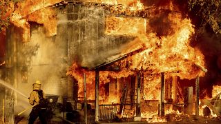 A firefighter sprays water while trying to stop the Sugar Fire, part of the Beckwourth Complex Fire, from spreading to neighbouring homes in Doyle, California.