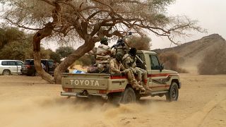 Niger : au moins 40 terroristes tués dans la region de Tillabéri