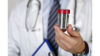 Male medicine doctor hand holding in hand medical marijuana