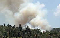 Φωτιά στο Σέιχ Σου