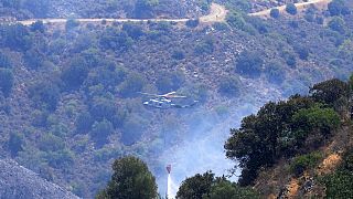 Cyprus Forest Fire