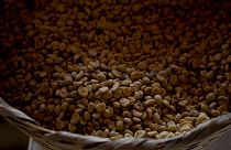 قهوه محصول برزیل