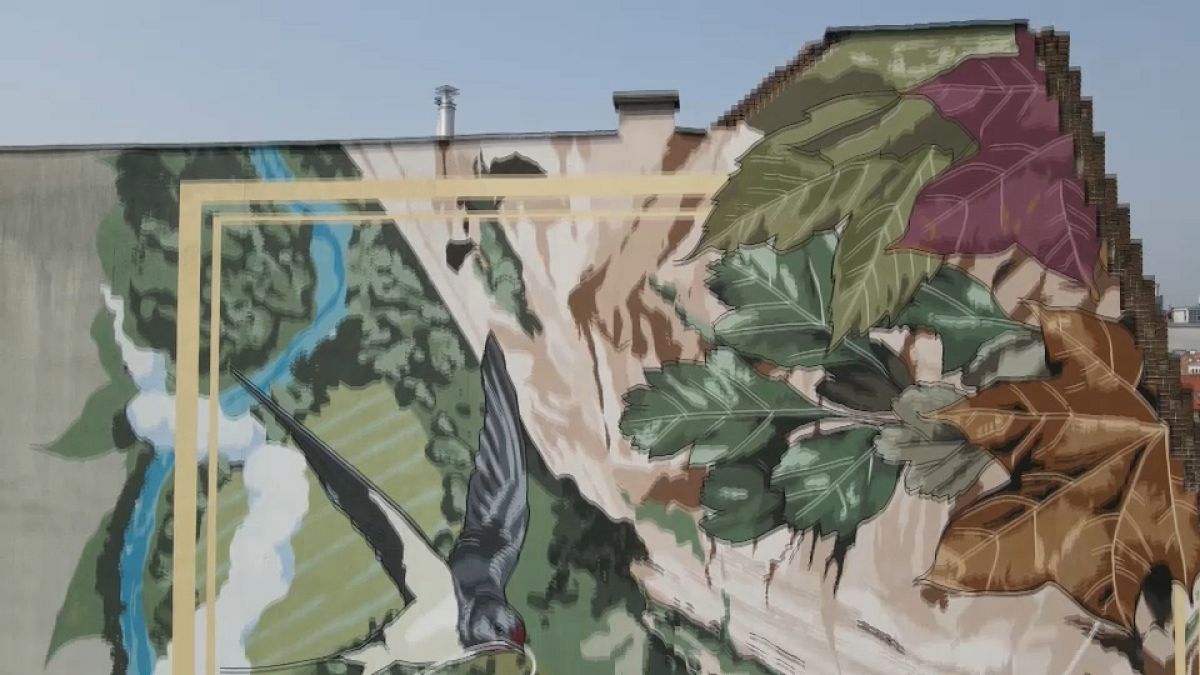 Экологически чистые граффити в Будапеште