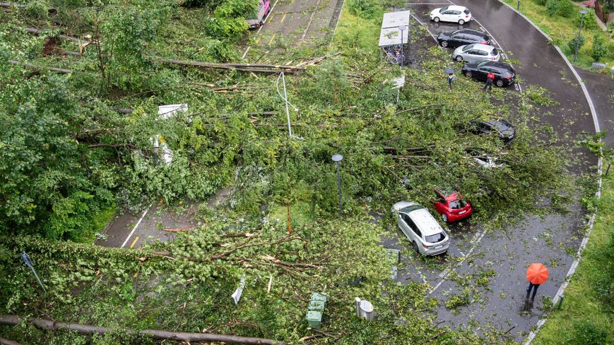 Fallen trees and broken branches have buried and heavily damaged cars near Zurich.