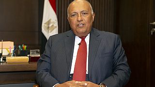 Crise politique au Liban :  quel rôle compte jouer l'Égypte ?