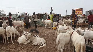 Senegal: Eid al-Adha preps in Bargny amid COVID hardship
