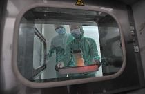 Çin'in Hubei bölgesindeki Wuhan laboratuvarı