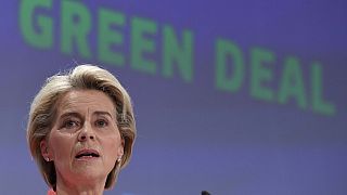 European Commission President Ursula von der Leyen unveils proposals to govern transition to low carbon economy dubbed "European Green Deal"