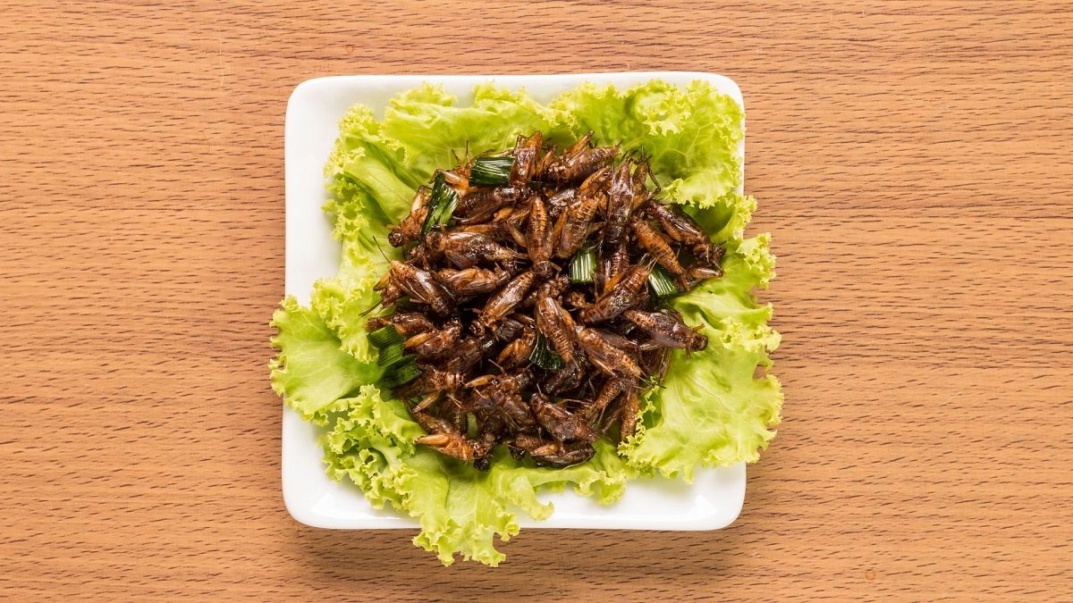 Fried crickets on a plate