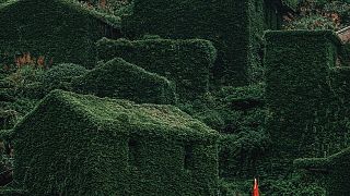 The abandoned village of Houtouwan is covered in greenery.