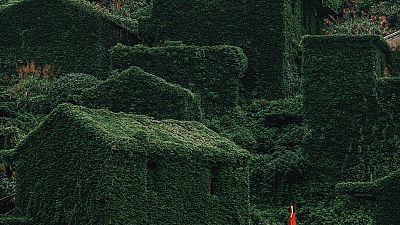 The abandoned village of Houtouwan is covered in greenery.