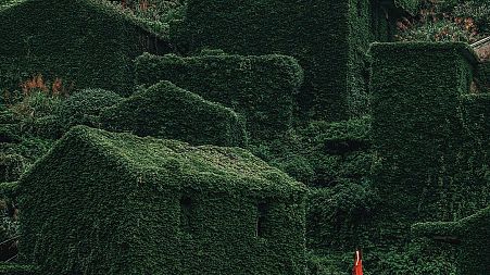 The abandoned village of Houtouwan is covered in greenery.