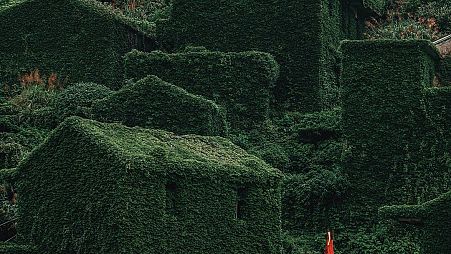 The abandoned village of Houtouwan is covered in greenery.