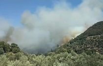 Incendio y evacuación en zona turística de la isla de Samos